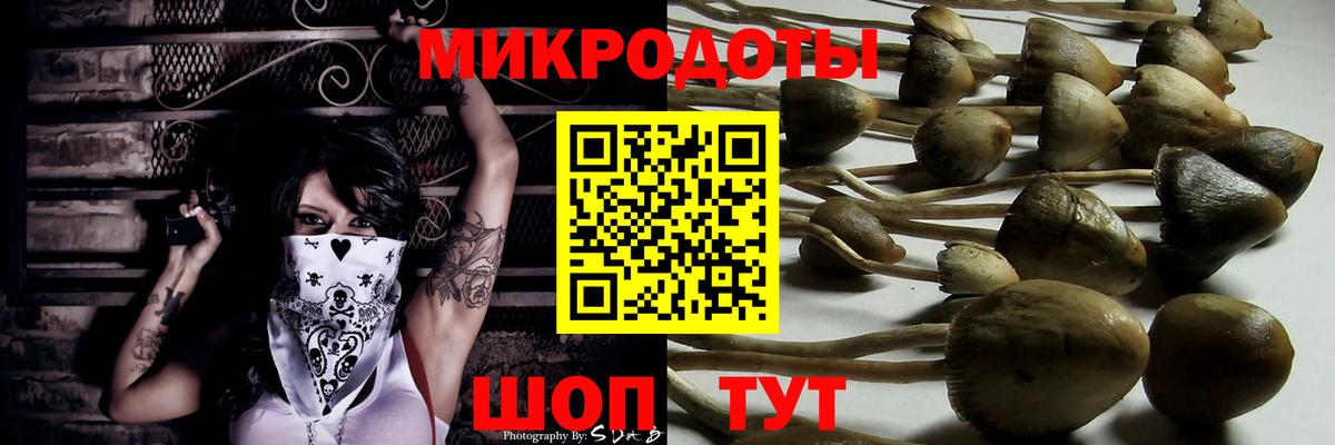 Лангепас  Галлюциногенные грибы прущие грибы  Вход с VPN  Галлюциногенные грибы Psilocybine cubensis 